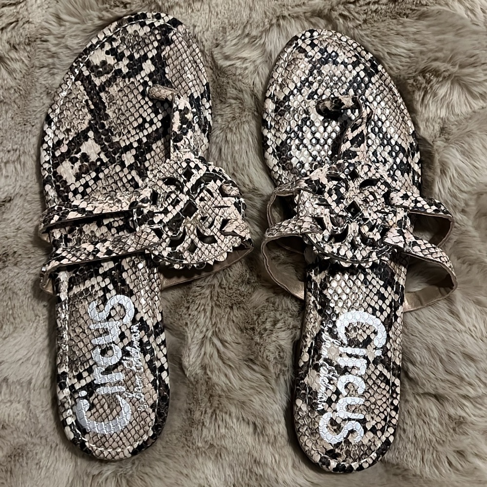 Circus by Sam Edelman Black and Cream Snake Sandals